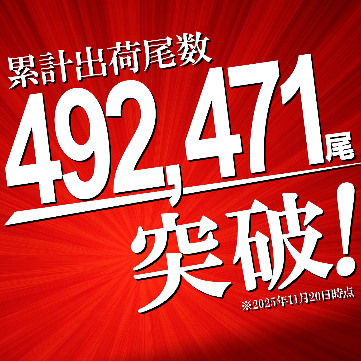 【ふるさと納税】 即納 うなぎ 国産 鰻 ウナギ 不揃い unagi 訳あり 2尾 3尾 200g以上 300g以上 規格外 蒲焼き 小分け 先行受付 最速便 7日以内に発送 訳あり 国産 うなぎ 不揃い 無選別 蒲焼 丑の日 発送時期が選べる 土用の丑の日 鰻楽 発送時期選択可