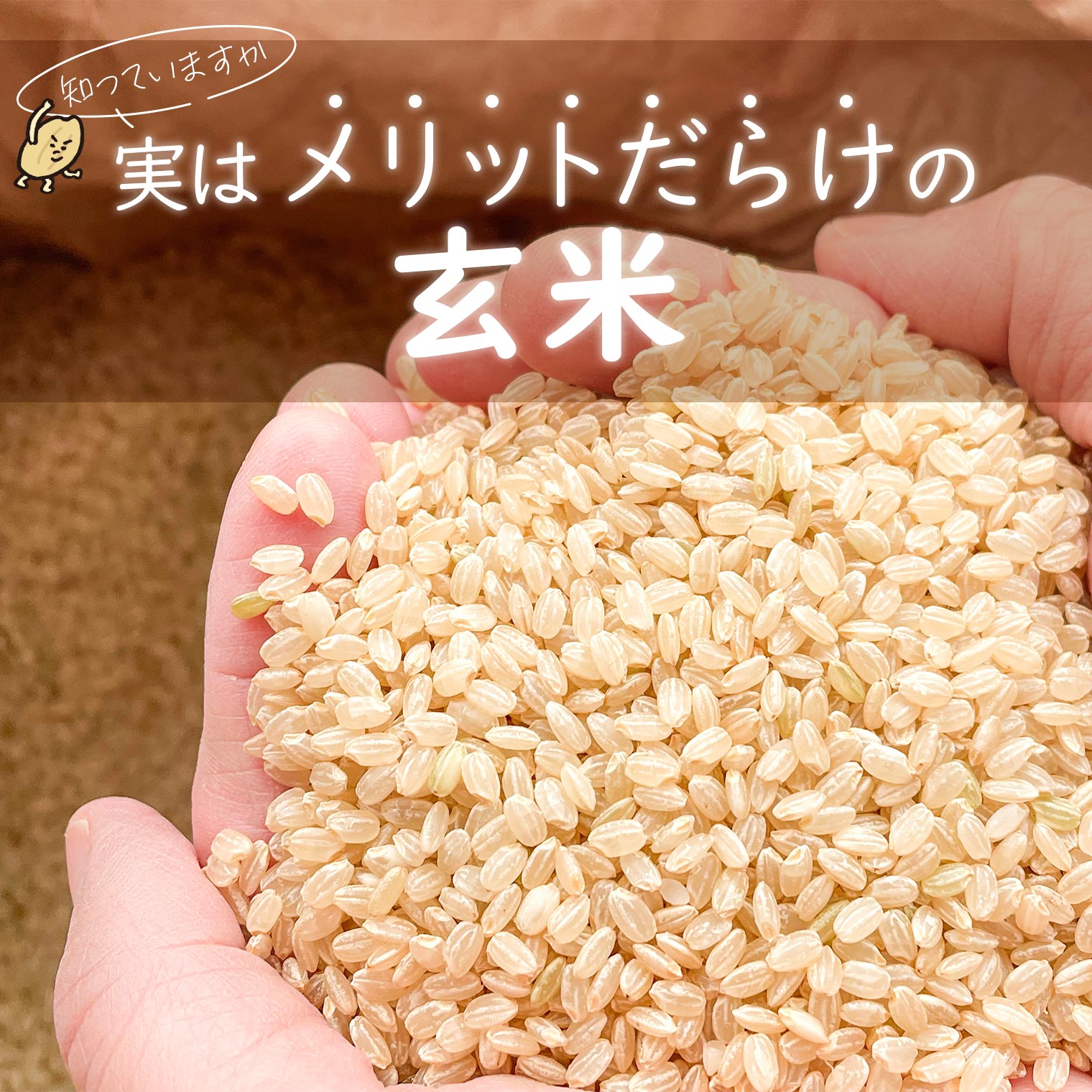 【ふるさと納税】【令和7年産】境町のこだわり玄米 「一番星」30kg