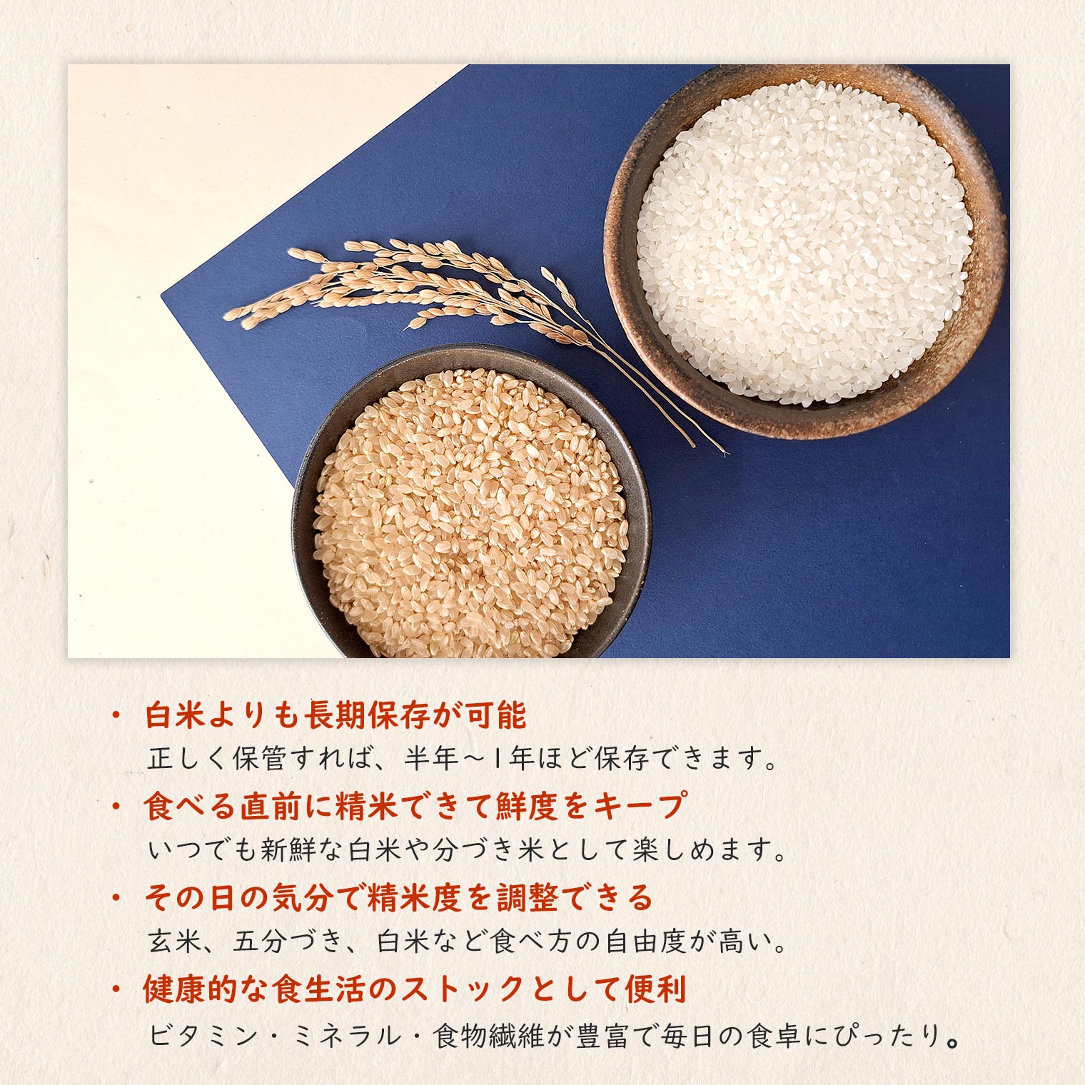 【ふるさと納税】新米 米 玄米 5kg コシヒカリ 令和8年産 玄米 5kg (5kg×1袋) 国産 ご飯 茨城県 境町産 人気 f085464-sakai-10001890 茨城県境町 サンプル画像3