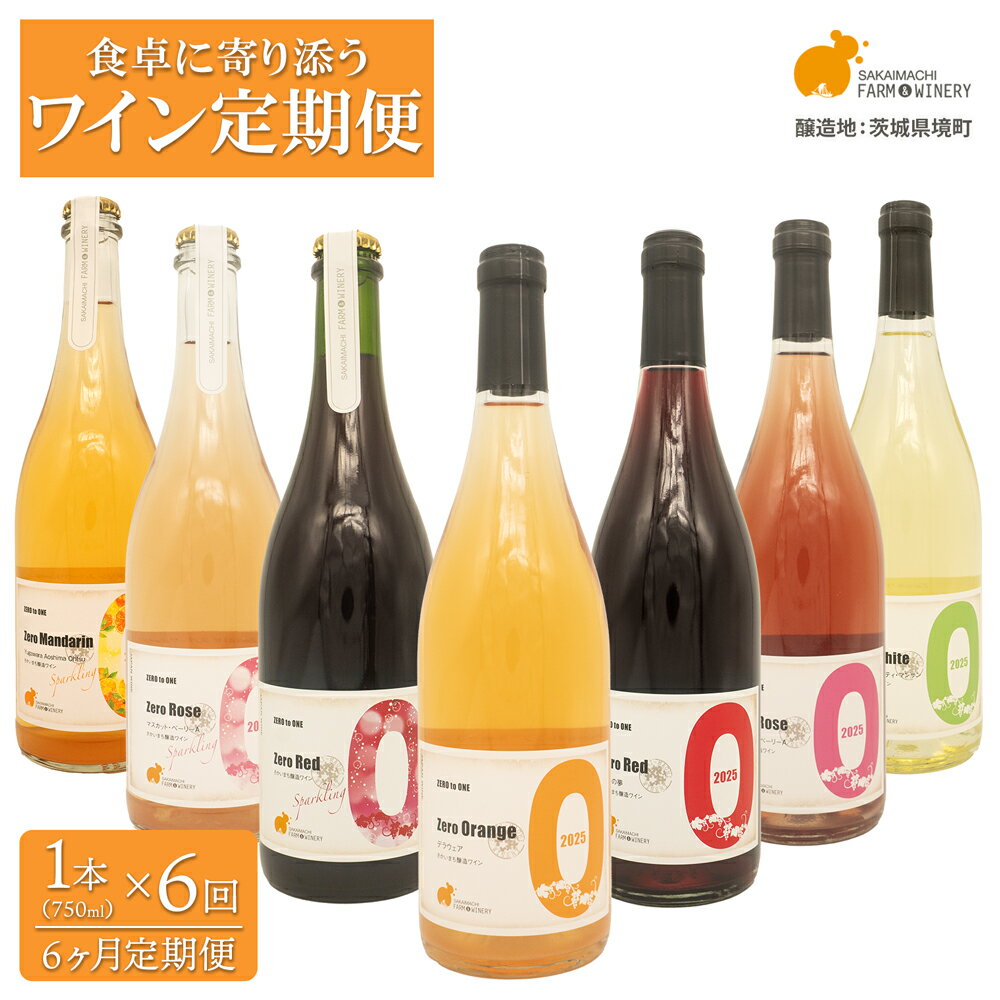 デイリーワイン 750ml×1本 [6ヶ月定期便/毎月お届け]おまかせ 赤 白 ロゼ スパークリング 酒 クラフト ギフト プレゼント 母の日 父の日 女子会 記念日 飲み比べ ご褒美 フルーツワイン