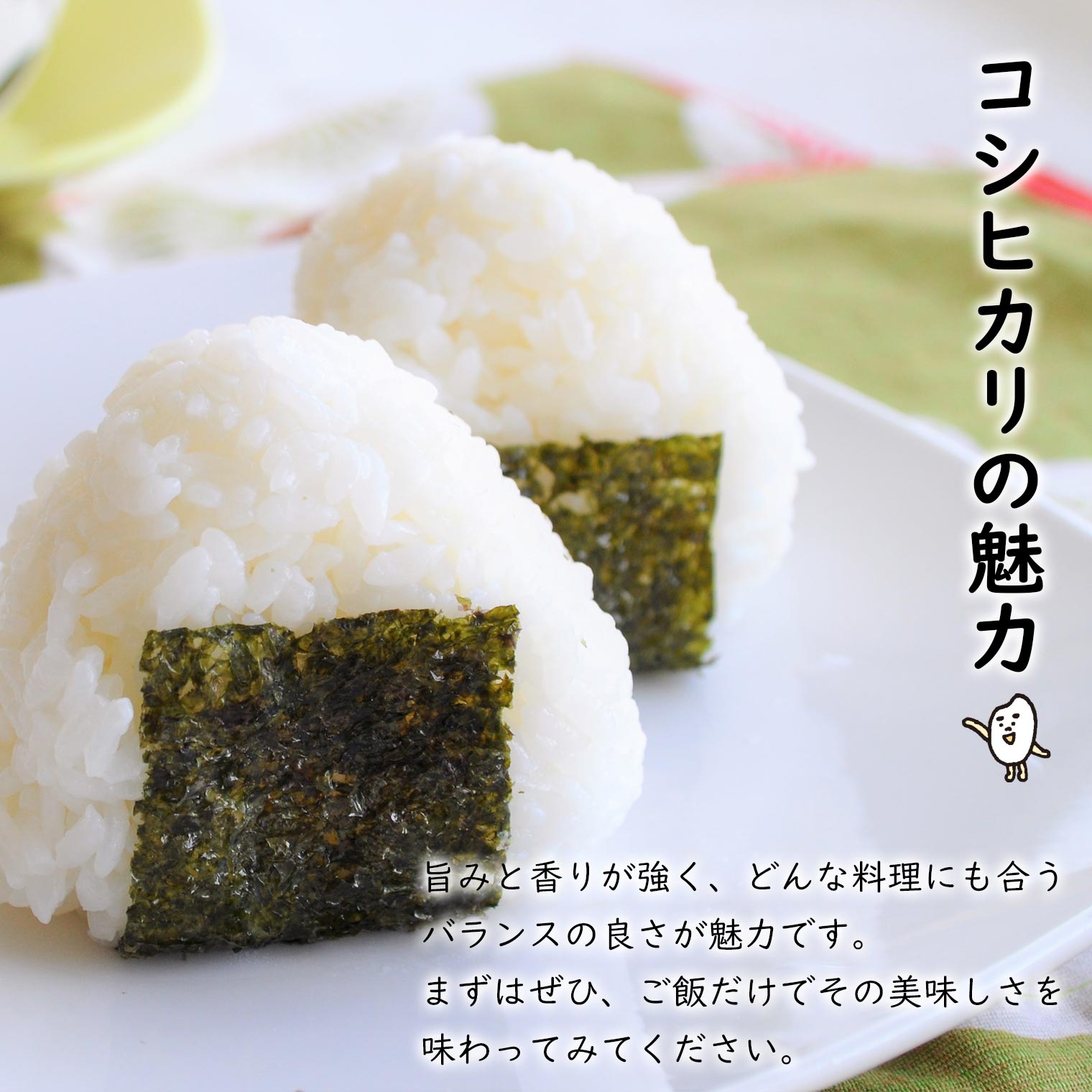 【ふるさと納税】【新米受付開始】米 無洗米 コシヒカリ 10kg(5kg×2袋) 令和8年産 国産 お米 白米 茨城県 境町産 数量限定 こしひかり 人気 おすすめ 10キロ S265 f085464-sakai-10001723 茨城県境町 サンプル画像3