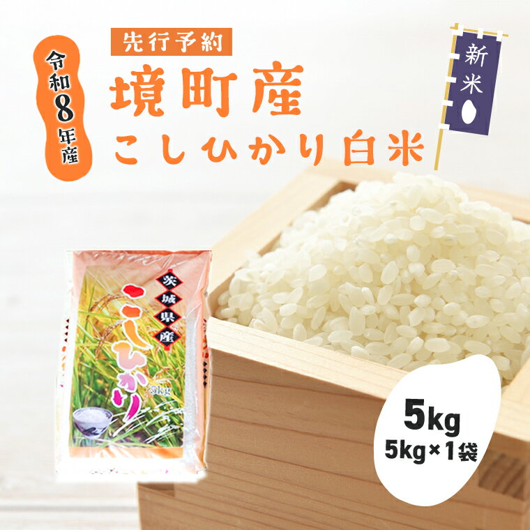新米 先行予約 米 コシヒカリ 5kg 令和8年産 国産 米 白米 茨城県 境町産 数量限定 こしひかり お米 人気 おすすめ 5キロ
