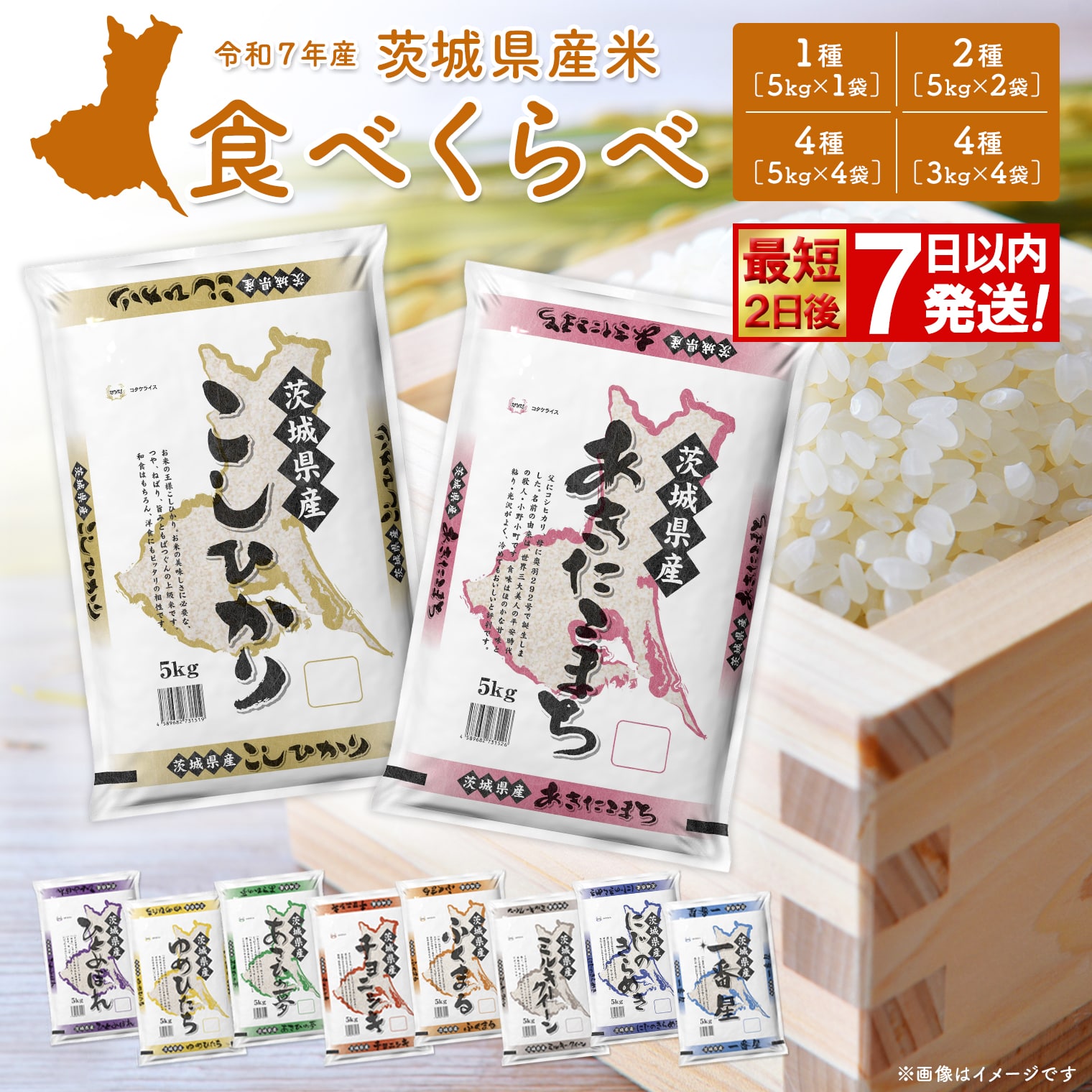 【ふるさと納税】米 10kg 寄附額改定!! 米 5kg 10kg 20kg コシヒカリ ＜最短2日 ...