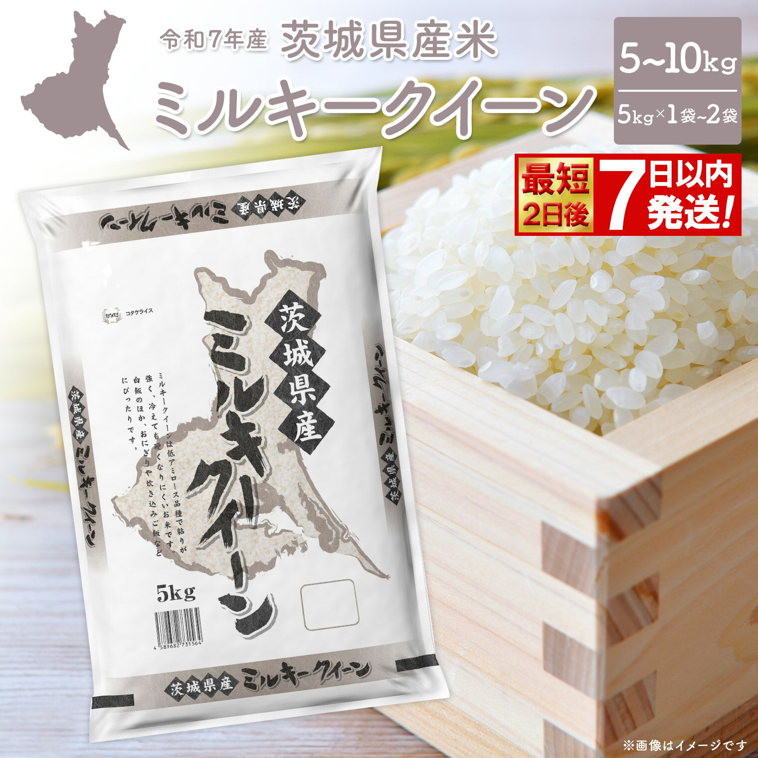 ★最短2日後発送★ 米 5kg 10kg ミルキークイーン 令和7年産 茨城県産 精米 小分け 少量 送料無料 ランキング1位 2025年産 ブランド米 ミルキークイーン