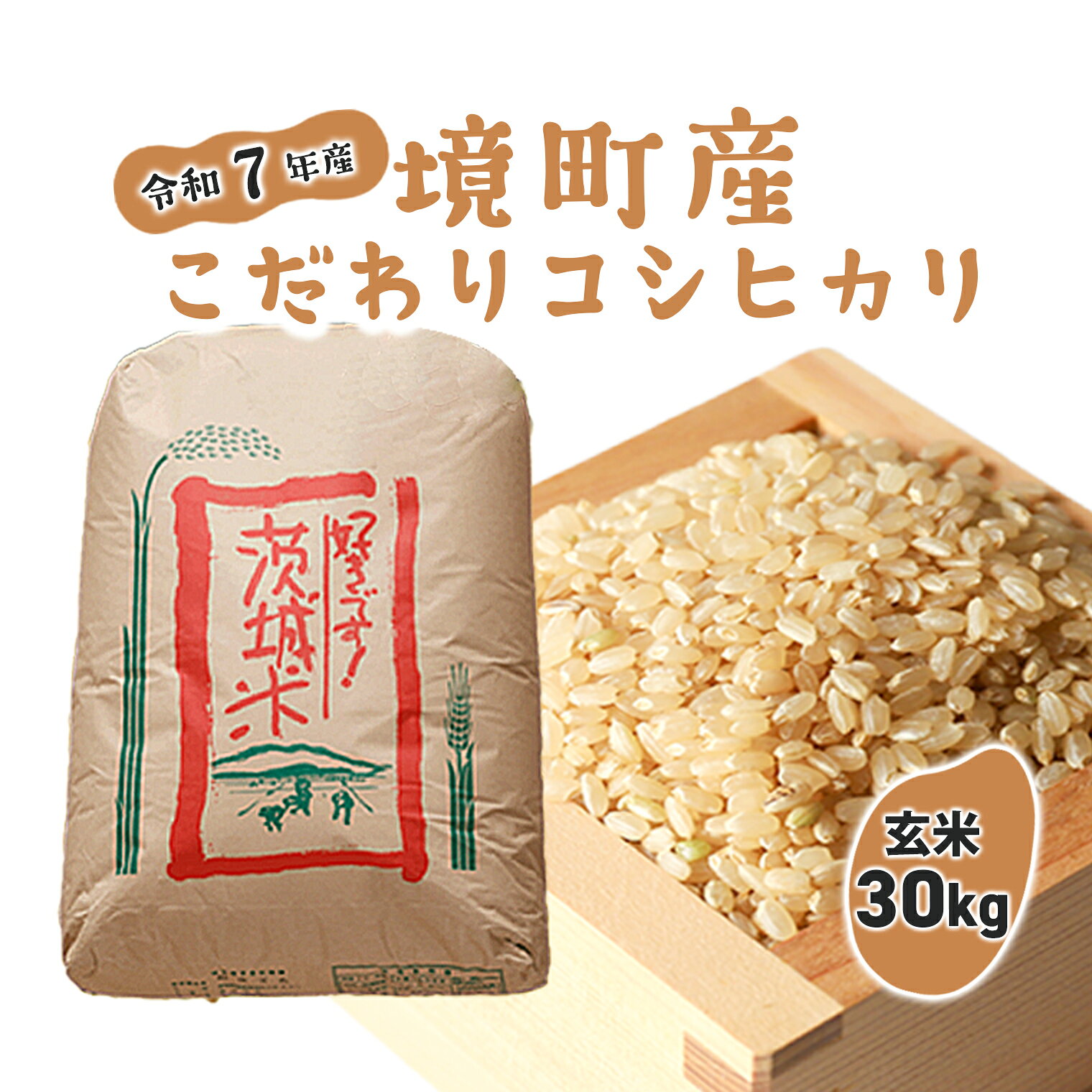 【ふるさと納税】米 玄米 コシヒカリ 30kg 令和7年産 国産 米 茨城県 境町産 大容量 数量限定 こしひかり お米 人気 おすすめ 30キロ S253