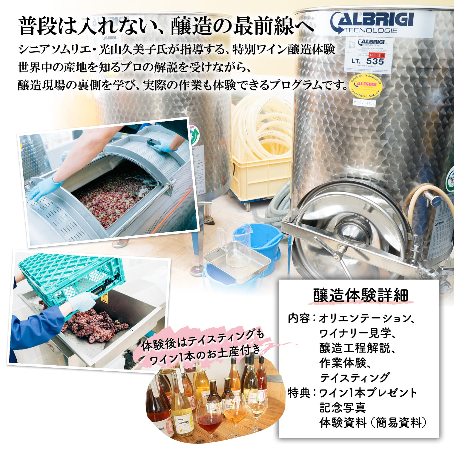 【ふるさと納税】ワイン醸造体験 1名様利用券 ワイン1本付き ワイナリー見学 試飲 赤 白 ギフト プレゼント 酒 お酒 ツアー 飲み比べ 甘口 辛口 さかいまちワイナリー f085464-sakai-10001907 茨城県境町 サンプル画像2