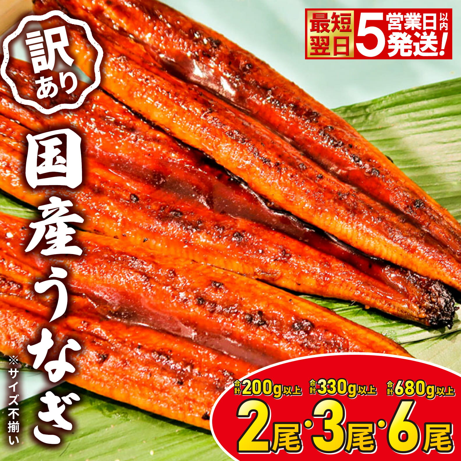 うなぎ 国産 訳あり 丑の日 鰻 不揃い 2尾 3尾 6尾 200g以上 330g以上 680g以上 規格外 蒲焼き 小分け 先行受付 最速便 5日以内に発送 訳あり 国産 うなぎ 不揃い 無選別 蒲焼 丑の日 発送時期が選べる 土用の丑の日 鰻楽 発送時期選択 ウナギ unagi