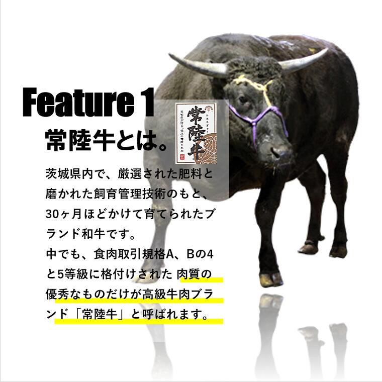 【ふるさと納税】常陸牛100%使用！極みハンバーグ130g×6個（合計780g）｜肉 お肉 牛肉 黒毛和牛 茨城県産 国産 A4・A5等級