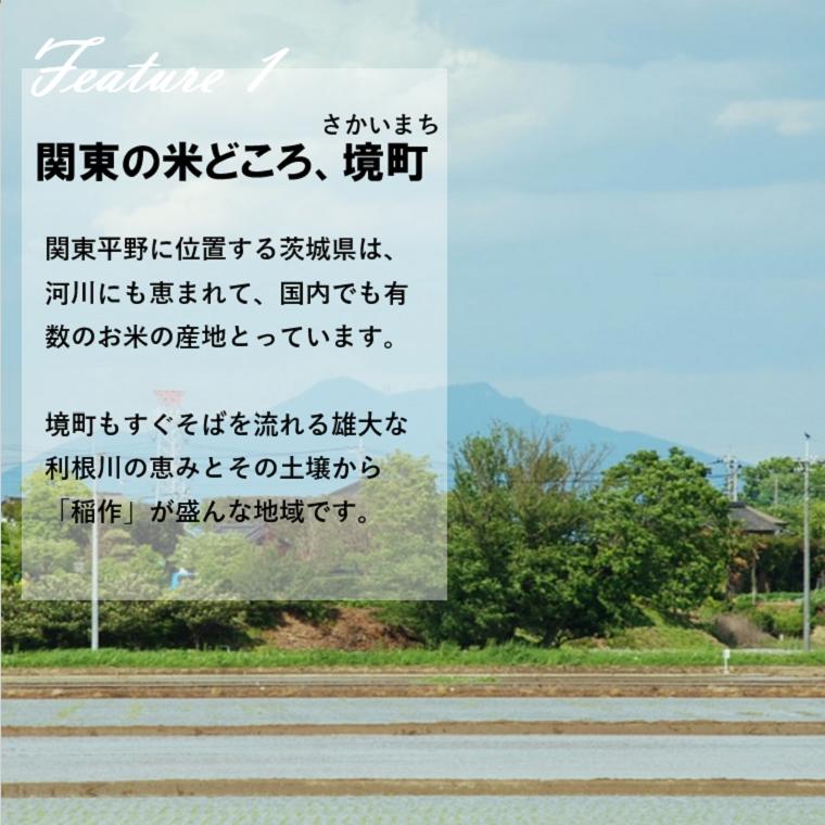 【ふるさと納税】＜令和元年産＞JA茨城むつみ 境町産コシヒカリ白米10kg×2袋（合計20kg）