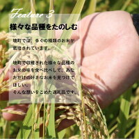 【ふるさと納税】<2019年11月発送分>令和元年産茨城県のお米4種食べくらべ20kgセット