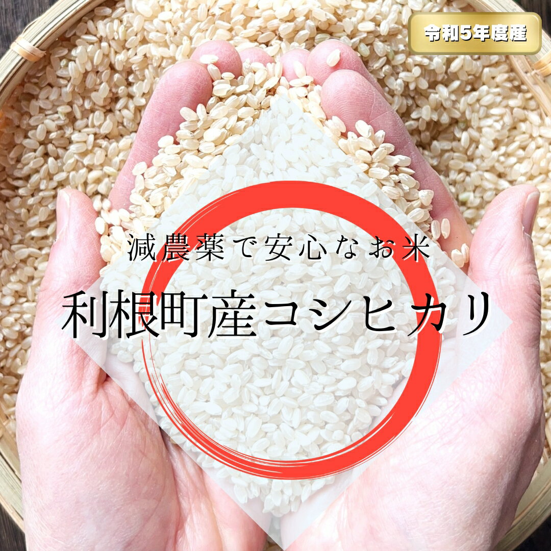 【ふるさと納税】【減農薬】利根町産コシヒカリ　玄米10kg