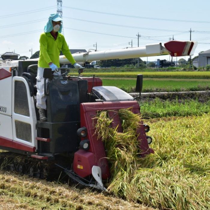 茨城県利根町の画像3