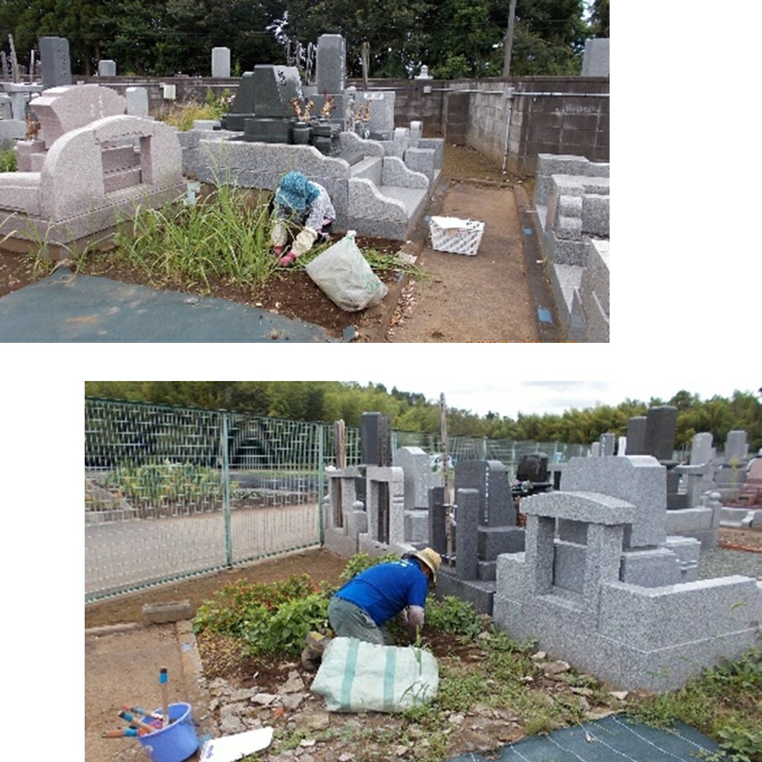 【ふるさと納税】年間4回コース 町営霊園墓地(...の紹介画像2