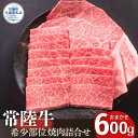 【ふるさと納税】安達牧場の「常陸牛」希少部位おまかせ詰め合わせ 焼肉(茨城県共通返礼品/茨城県産)
