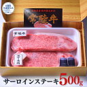 【ふるさと納税】常陸牛サーロインステーキ500g (約250g×2枚)(茨城県共通返礼品)
