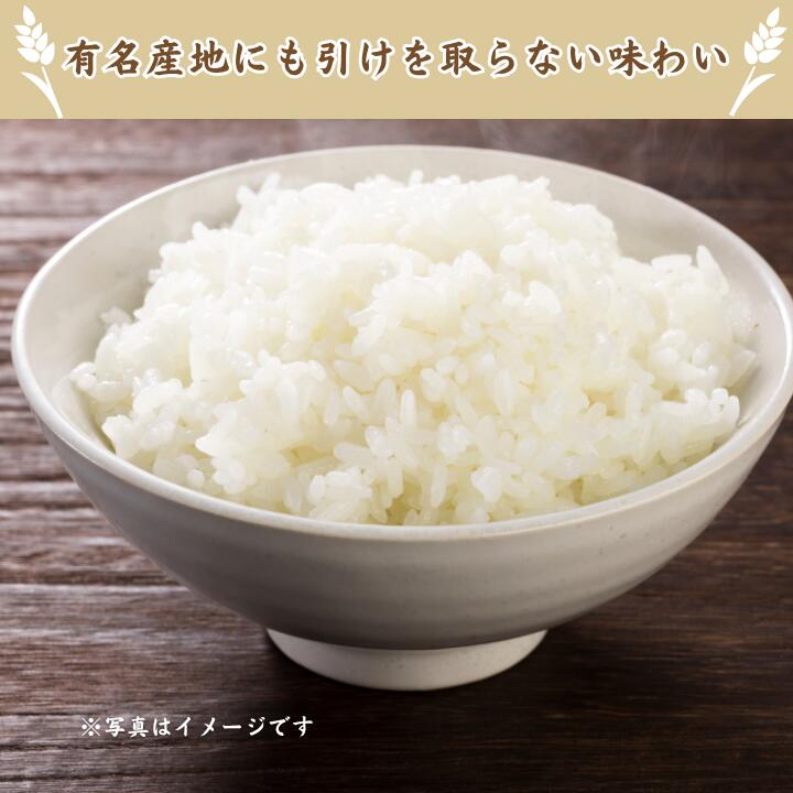 【ふるさと納税】利根町産コシヒカリ　精米5kg~10kg ／ 米 こめ コメ お米 おこめ コシヒカリ こしひかり 令和7年産 新米 白米 精米 ご飯 ごはん 5kg 10kg 定期便 送料無料