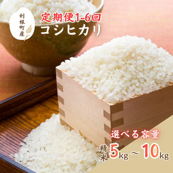 利根町産コシヒカリ 精米5kg~10kg / 米 こめ コメ お米 おこめ コシヒカリ こしひかり 令和7年産 新米 白米 精米 ご飯 ごはん 5kg 10kg 定期便 送料無料