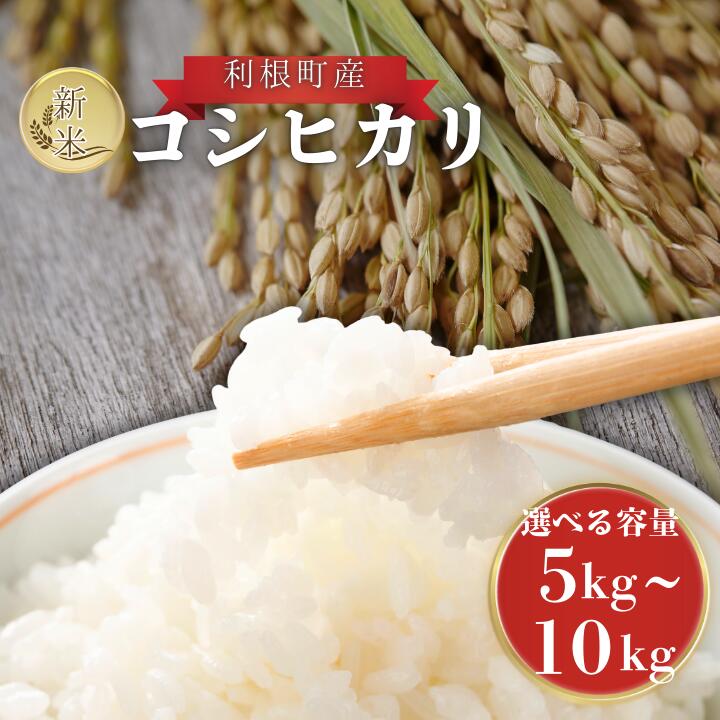 【ふるさと納税】 利根町産 コシヒカリ 精米 5kg~10kg ／ 米 こめ コメ お米 おこめ コシヒカリ こしひかり 令和7年産 新米 精米 白米 ごはん ご飯 5kg 10kg 茨城県 利根町 産地直送 送料無料