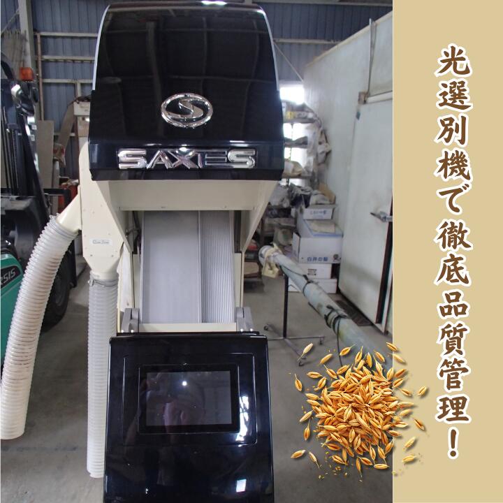 【ふるさと納税】 利根町産　コシヒカリ　玄米　5kg~10kg ／ 米 こめ コメ お米 おこめ コシヒカリ こしひかり 令和7年産 新米 玄米 ごはん ご飯 5kg 10kg 健康志向 茨城県 利根町 産地直送 送料無料