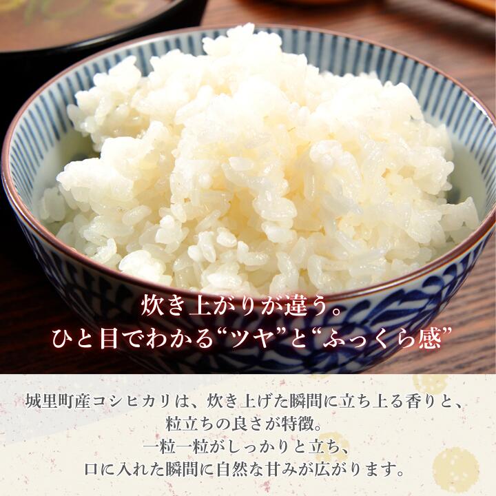 【ふるさと納税】米 こめ コメ 令和7年産 5kg 10kg お米 定期便 選べる容量・回数 コシヒカリ 5kg~10kg / おこめ コシヒカリ こしひかり 白米 精米 ごはん ご飯 国産 送料無料 茨城県 城里町 利根町 （茨城県共通返礼品・城里町産）