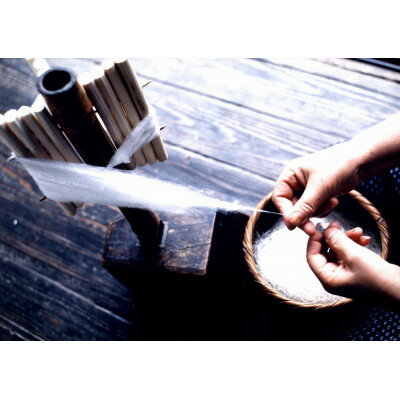 【ふるさと納税】本場結城紬 100亀甲飛柄 1反予約券【1482336】