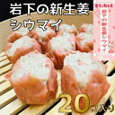 【ふるさと納税】【鹿沼新名物】ヤオハンオリジナル岩下の新生姜シウマイ 20個入(800g)【配送不可地域:離島】【1505365】