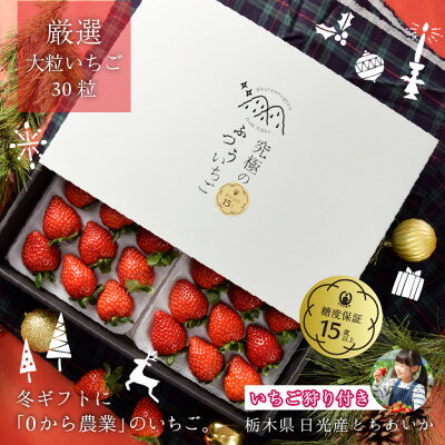 究極のふつういちご「厳選大粒 とちあいか」30粒入り&いちご狩りご招待券(ペア)【配送不可地域：離島・沖縄県】【1565666】