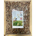 【ふるさと納税】いろいろ米(玄米)2kg【1568875】
