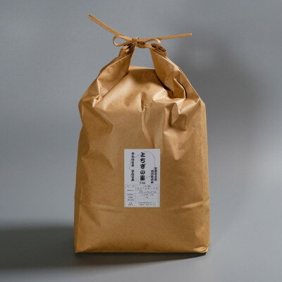 【ふるさと納税】令和の大嘗祭供納米品種「とちぎの星」 精米 5kg【1679439】