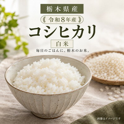【ふるさと納税】【令和8年産】栃木県産 コシヒカリ 白米 2kg【2000203】 f090000-tochigi-10000261 栃木県 パッケージ画像