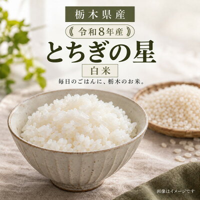 ミ*ヨ様 栃木のお米・コシヒカリ♡白米 楽天市場】とちぎの星の通販
