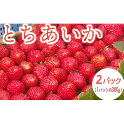 栃木県産いちご【とちあいか】(2パック(約600g))【配送不可地域：離島・北海道・沖縄県・信越、北陸・東海・近畿・中国・四国・九州】【1376282】