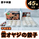 【ふるさと納税】宇都宮発 雷オヤジの餃子 45個入 (冷凍) 【 餃子 冷凍 ぎょうざ 栃木県 宇都宮市 】※離島への配送不可