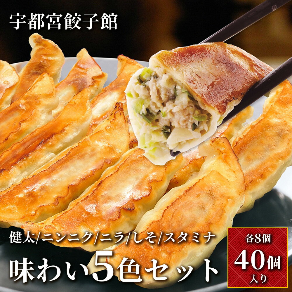 【ふるさと納税】「宇都宮餃子館」味わい5色セット (各8個入り)【 餃子 冷凍 ぎょうざ 食べ比べ 栃木県 宇都宮市 】※配送不可地域:離島