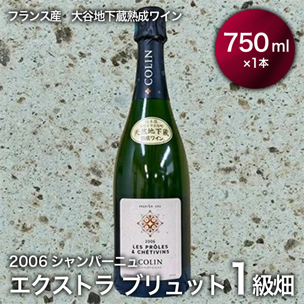 【ふるさと納税】大谷の天然地下蔵で深みを増すワイン 2006シャンパーニュ エクストラ ブリュット 1級畑 1本【 ワイン シャンパン ギフト 栃木県 宇都宮市 】※配送不可地域：離島