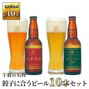 【ふるさと納税】宇都宮名物「餃子に合うビール」2種 