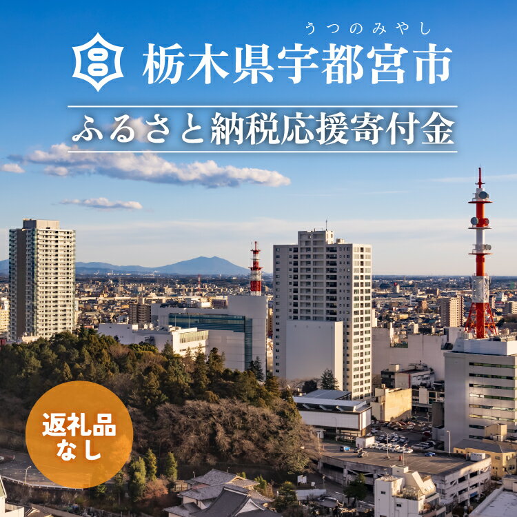 サービス・リフォーム人気ランク54位　口コミ数「0件」評価「0」「【ふるさと納税】栃木県宇都宮市への寄付　10,000円（返礼品はありません）」