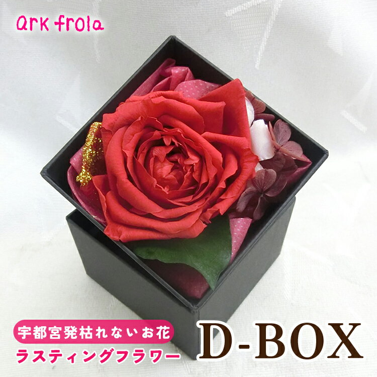D-BOX※着日指定不可