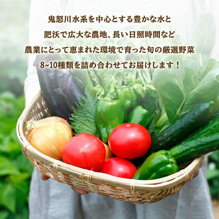 【ふるさと納税】【3ヶ月定期便】農産直売所あぜみち 新鮮野菜 詰め合わせ | 採れたて 美味しい おまかせ 新鮮 直送 旬 野菜 やさい セット 季節の野菜 宇都宮市 国産 ふるさと納税 送料無料※着日指定不可