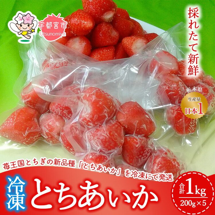 【ふるさと納税】採れたて新鮮 栃木のいちご 冷凍とちあいか | いちご 栃木 とちあいか 甘い 糖度 旬 新鮮 フルーツ 果物 アレンジ スイーツ いちごジャム フルーツサンド※着日指定不可※2024年1月下旬～6月上旬頃に順次発送予定