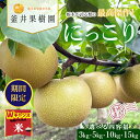 【ふるさと納税】\9末まで 寄附額改定/【選べる内容量】にっこり | 栃木県産 宇都宮市 梨 なし にっこり フルーツ 果物 旬 果物 産地直送 ※離島への配送不可 ※2025年10月上旬頃より順次発送予定