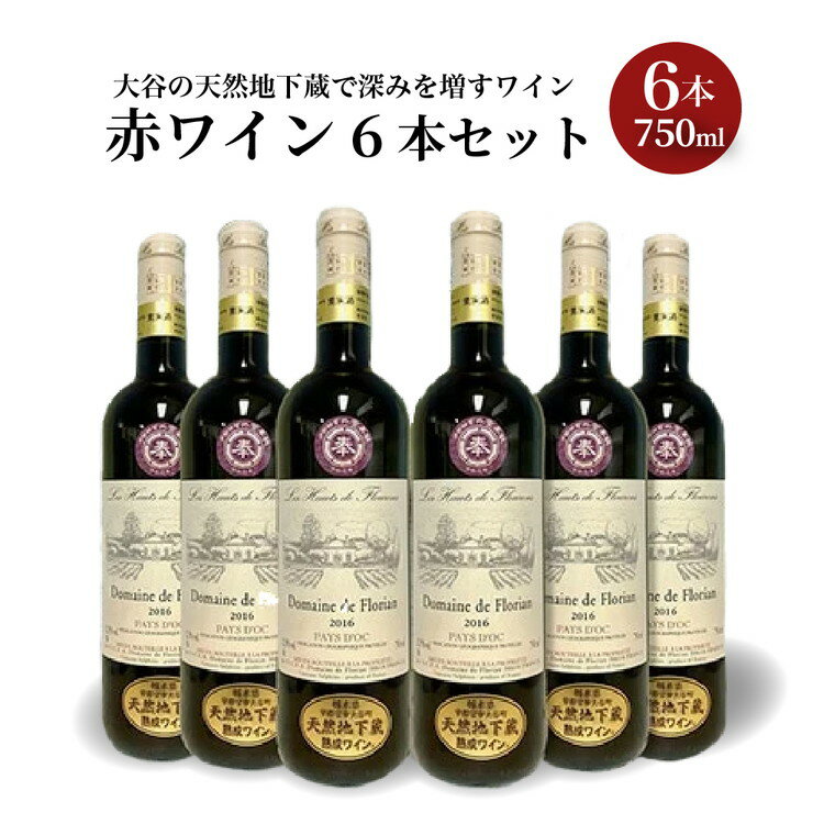【ふるさと納税】大谷の天然地下蔵で深みを増すワイン 赤ワイン 6本セット【 赤ワイン お酒 ギフト 栃木県 宇都宮市 】※配送不可地域：離島