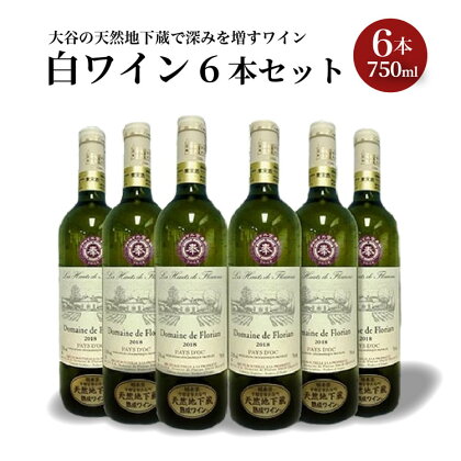 大谷の天然地下蔵で深みを増すワイン　白ワイン 6本セット【白ワイン お酒 ギフト 栃木県 宇都宮市 】※配送不可地域：離島