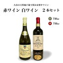 15位! 口コミ数「0件」評価「0」大谷の天然地下蔵で深みを増すワイン 白ワイン・赤ワイン 2本セット【 赤ワイン 白ワイン ロゼ 飲み比べ ギフト 栃木県 宇都宮市 】※配送･･･ 