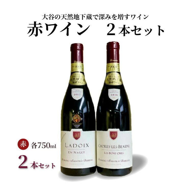 【ふるさと納税】大谷の天然地下蔵で深みを増すワイン 赤 2本セット【 赤ワイン お酒 飲み比べ セット ギフト 栃木県 宇都宮市 】※配送不可地域：離島