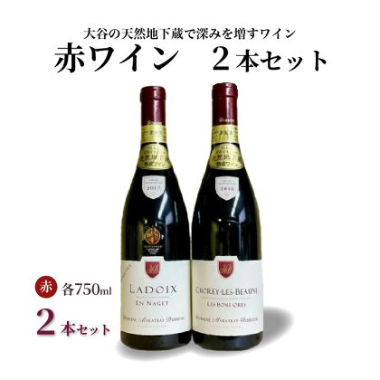 大谷の天然地下蔵で深みを増すワイン 赤 2本セット【 赤ワイン お酒 飲み比べ セット ギフト 栃木県 宇都宮市 】※配送不可地域：離島