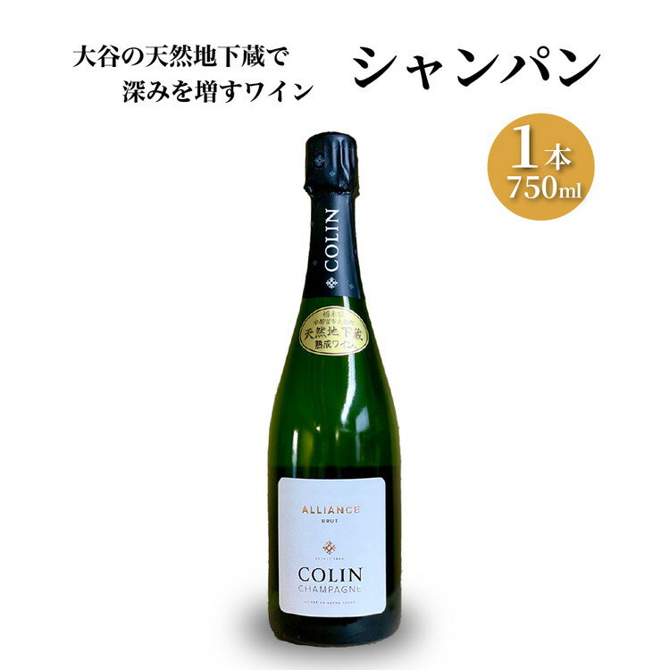 大谷の天然地下蔵で深みを増すワイン シャンパン 1本[ ワイン シャンパン ギフト 栃木県 宇都宮市 ]※配送不可地域:離島