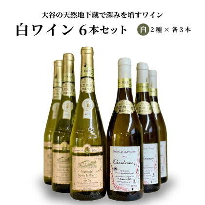 大谷の天然地下蔵で深みを増すワイン 白 6本セット【 白ワイン 飲み比べ ギフト 栃木県 宇都宮市 】※配送不可地域：離島