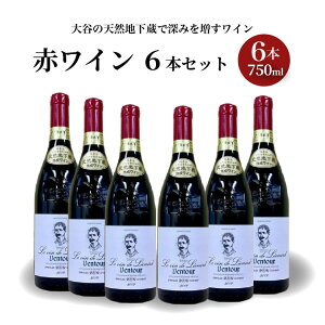 【ふるさと納税】大谷の天然地下蔵で深みを増すワイン 赤ワイン 6本セット【 赤ワイン お酒 飲み比べ セット ギフト 栃木県 宇都宮市 】※配送不可地域：離島