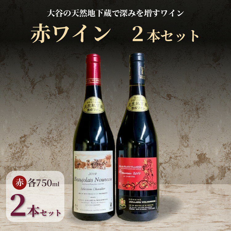 【ふるさと納税】大谷の天然地下蔵で深みを増すワイン 赤ワイン 2本セット【 赤ワイン お酒 飲み比べ セット ギフト 栃木県 宇都宮市 】※配送不可地域：離島